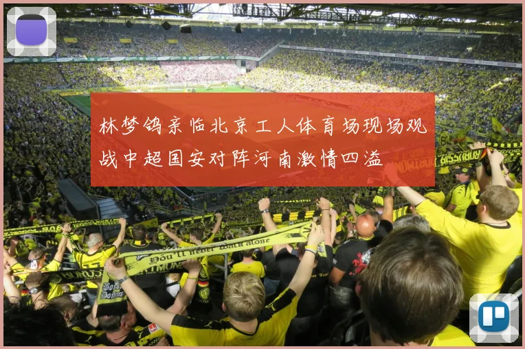 林梦鸽亲临北京工人体育场现场观战中超国安对阵河南激情四溢
